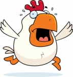 Cartoon_Rooster_Panic_Royalty_Free_Vector_Image_jpg3037