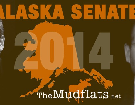 2014SenateGraphic600w-1