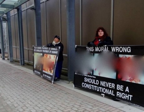 protest