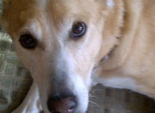 Yes, I still love you.