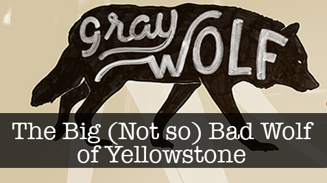 Three little pigs argumentative essay image